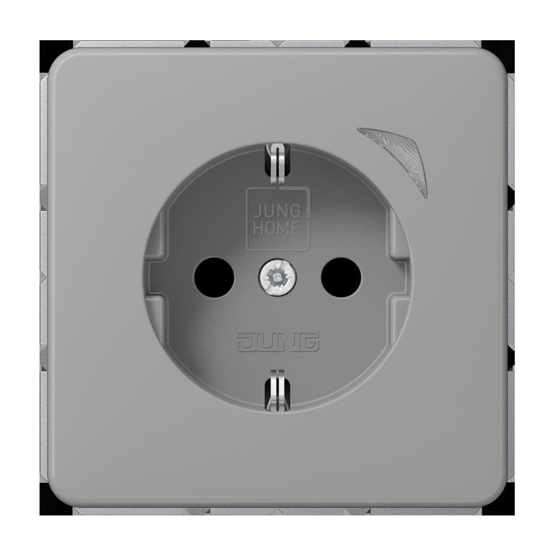 Jung - Steckdose SCHUKO Steckdose 16 A 250V BT CD 1521 SE GR m. Berührungsschutz