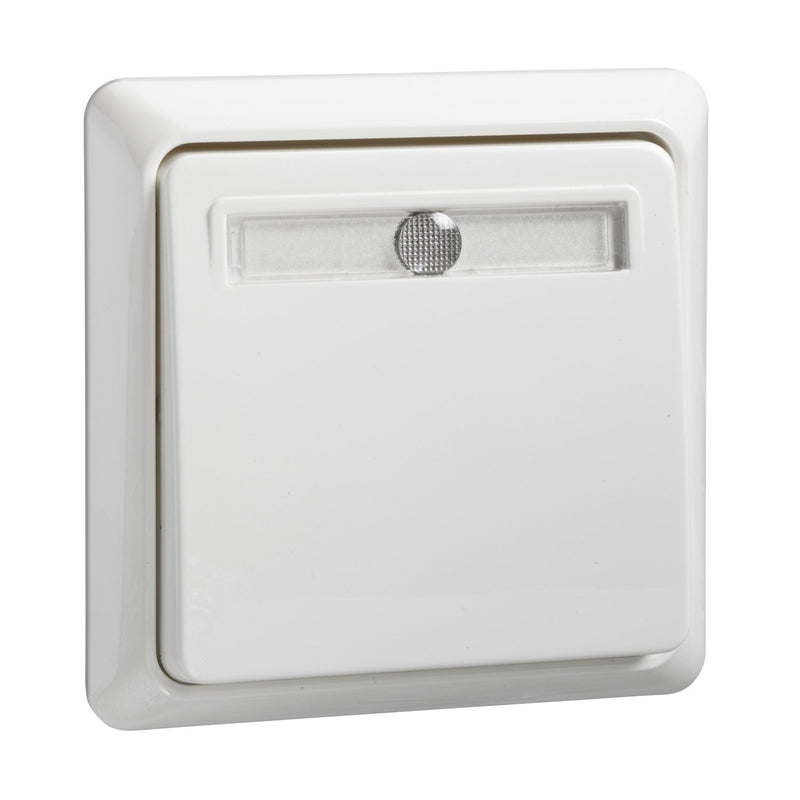 Elso - Taster beleuchtet 502124 10A Steckklemme rws