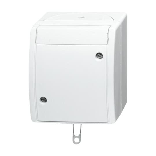 Busch-Jaeger - Installationsschalter Zugwechselschalter 2610/6 W-54