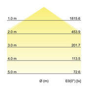 Brumberg Leuchten - Decken-/Wandleuchte LED-Anbaupanel 12208073