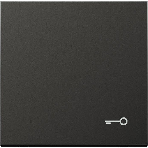 Jung - Abdeckung/Bedienelement für Installationsschalterprogramme Wippe Symbol TÜR anth AL 2990 T AN für Taster