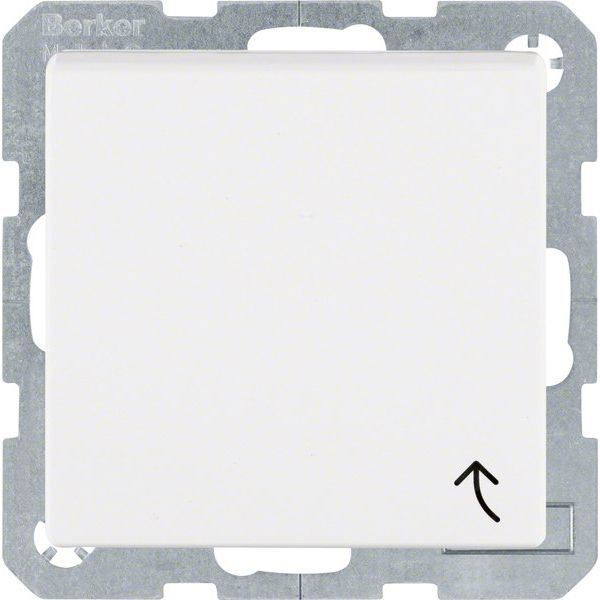 Berker - Steckdose Schuko-Steckdose pws 47511909 mit Klappdeckel