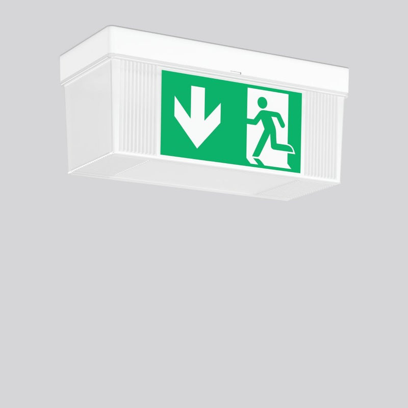 RZB - Sicherheitsleuchte LED-Wand-u.Deckenleuchte 671819.002.3 EB 3h