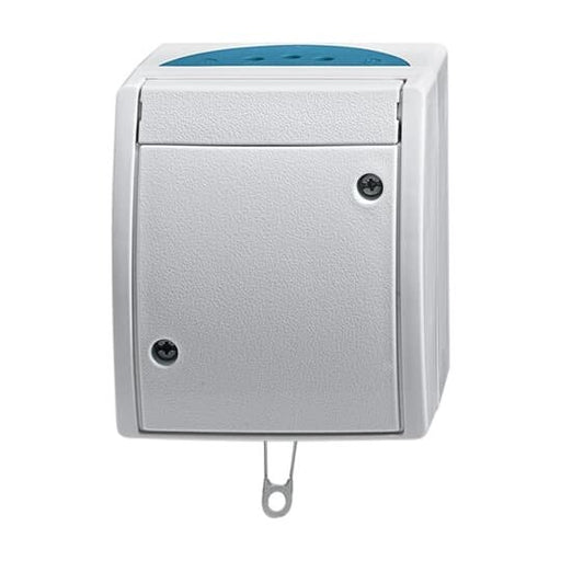 Busch-Jaeger - Installationsschalter Zugwechselschalter 2610/6 W-53 AP