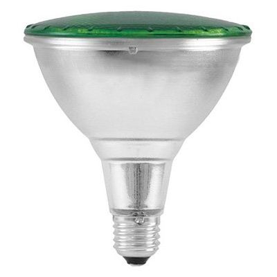 Scharnberger+Hasenbein - LED-Lampe/Multi-LED LED-Reflektorlampe PAR38 31182 E27 grün