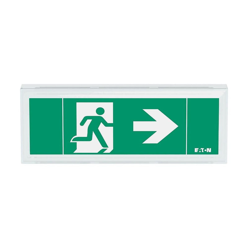 Ceag Notlichtsysteme - Sicherheitsleuchte LED-Rettungszeichenleuchte FT1EW4ICGL18IP 1-8h, Piktos, Wand