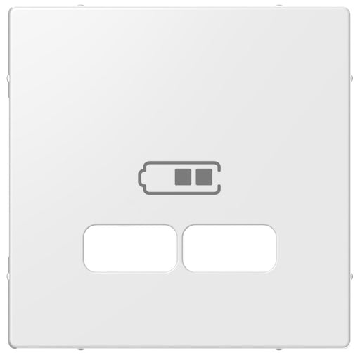 Elso - Einsatz/Abdeckung für Kommunikationstechnik Zentralplatte für USB rws ELG363204 Ladestation-Einsatz