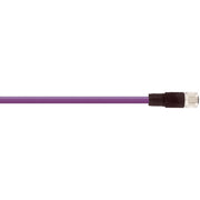 Lapp Zubehör - Konfektioniertes Sensor-Aktor-Kabel AB-DN-M12MA-2,0PUR 22262004 − 50 Stück