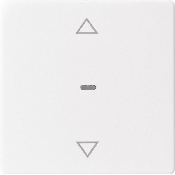 Berker - Abdeckung/Bedienelement für Installationsschalterprogramme Abdeckung Tastsensor-Modul 80961229 1-fach pws samt