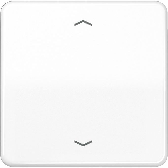 Jung - Abdeckung/Bedienelement für Installationsschalterprogramme Wippe Symbole aws CD 590 P WW für Taster