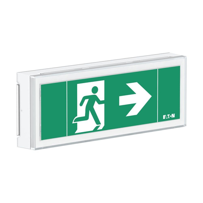 Ceag Notlichtsysteme - Sicherheitsleuchte LED-Rettungszeichenleuchte FT1EW4ICGS ZB, Piktos, Wand