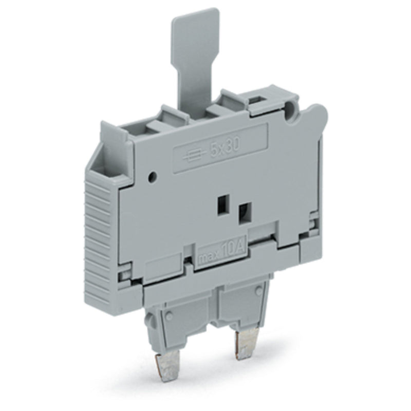 WAGO - Bauelementestecker Sicherungsstecker 2006-921 5x30mm,grau − 25 Stück