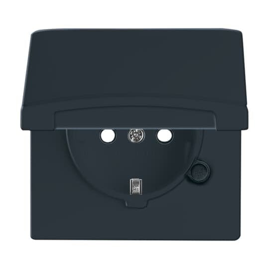 Busch-Jaeger - Steckdose Schuko-Steckdoseneinsatz 20 EUGKB-35-101 IP44 anthrazit