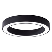 EVN Lichttechnik - Decken-/Wandleuchte LED-Anbauleuchte RAD800925 CCT Switch