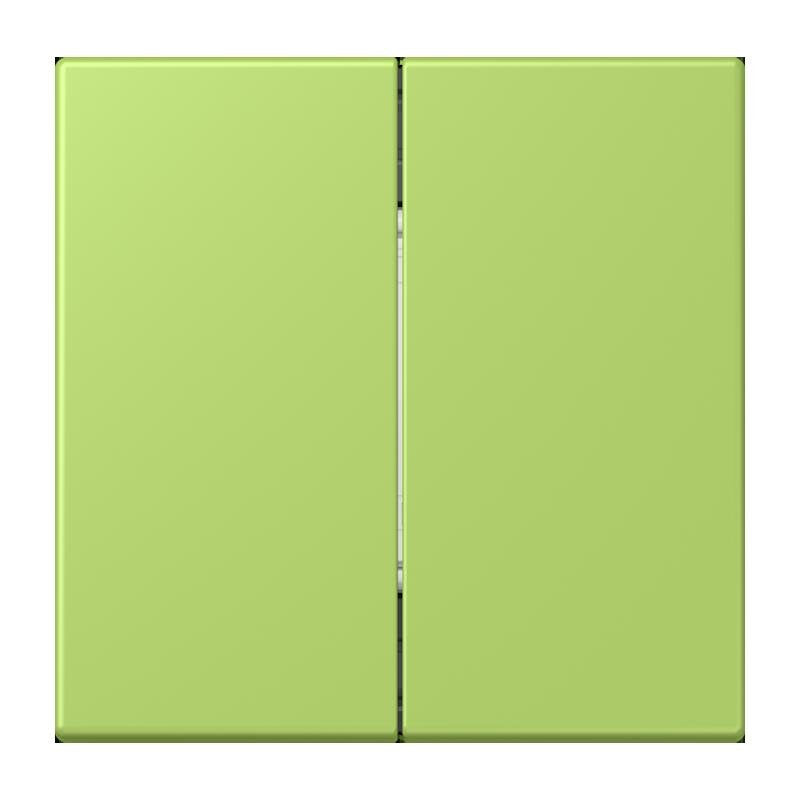 Jung - Sender/Fernbedienung für Installationsschalterprogramme Bluetooth Funk-Wandsender BLE LC 995 221 vert clair (32052)