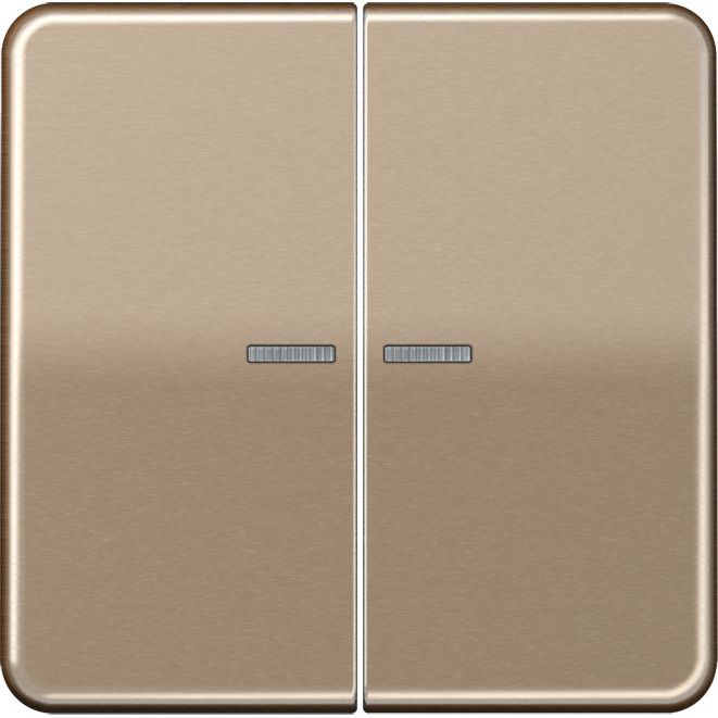 Jung - Bussystem-Tastsensor KNX RF Taster 2fach CD 10921 ST RF GB Aluminium eloxiert