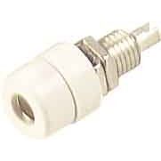 Pulsotr. SKS - Fernmelde-Steckverbinder EB-Buchse BIL 20 ws − 10 Stück