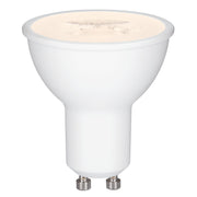 Paulmann - LED-Lampe/Multi-LED LED-Standardlampe 285.77 230V