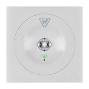 Ceag Notlichtsysteme - Sicherheitsleuchte LED-Einzelbatterie-Leuchte 13811.2 1-8/DCGLine