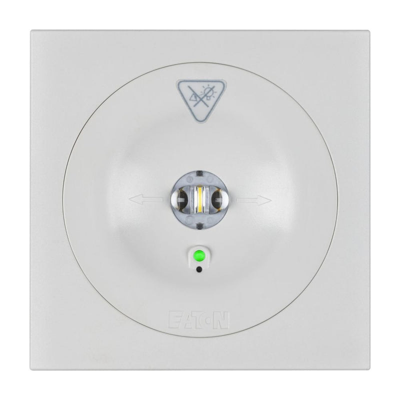 Ceag Notlichtsysteme - Sicherheitsleuchte LED-Einzelbatterie-Leuchte 13811.2 1-8/DCGLine