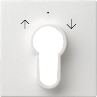 Gira - Abdeckung/Bedienelement für Installationsschalterprogramme Zentralpl. Schlüssel. rws 066427 System55
