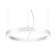 Brumberg Leuchten - Pendelleuchte LED-Pendel-Ringleuchte 13525174 D450mm, H100mm