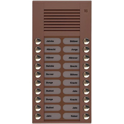 TCS Tür Control - Türstation für Türkommunikation Audioaußenstation 2-reihig PES20-EB/04 20 Tasten AP bronze