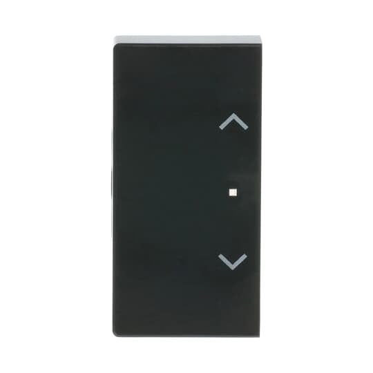 Busch-Jaeger - Bussystem-Tastwippe Wippe 2-f li Symb Jalousie 6232-20-81 anthrazit