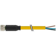 Murrelektronik - Konfektioniertes Sensor-Aktor-Kabel Steckverbinder 7000-08041-0500300 m.frei. Leitungsende − 1 Stück