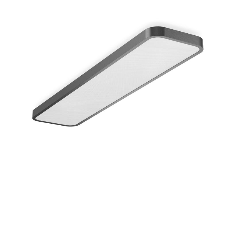 RZB - Decken-/Wandleuchte LED-Wand-u.Deckenleuchte 312715.0031.76 830, DALI, anthrazit