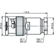 Telegärtner - Koax-Steckverbinder BNC-Kabelstecker 100023343
