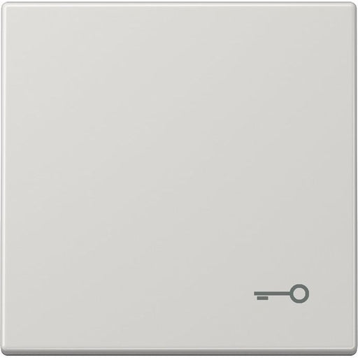 Jung - Abdeckung/Bedienelement für Installationsschalterprogramme Wippe Symbol TÜR lgr LS 990 T LG für Taster