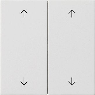 Gira - Abdeckung/Bedienelement für Installationsschalterprogramme Wippe 2-fach 538727 Reinweiß