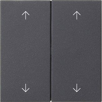 Gira - Abdeckung/Bedienelement für Installationsschalterprogramme Wippe 2-fach 538728 Anthrazit
