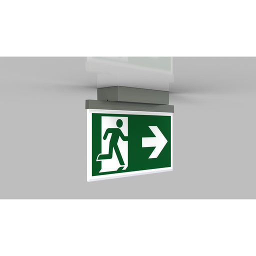 RP-Technik - Sicherheitsleuchte LED-Rettungszeichenleuchte AGD009ML-E ZB + ML