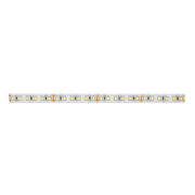 Brumberg Leuchten - Lichtschlauch/-band LED-Flexband 5000mm 15206003 24V 3100K IP00