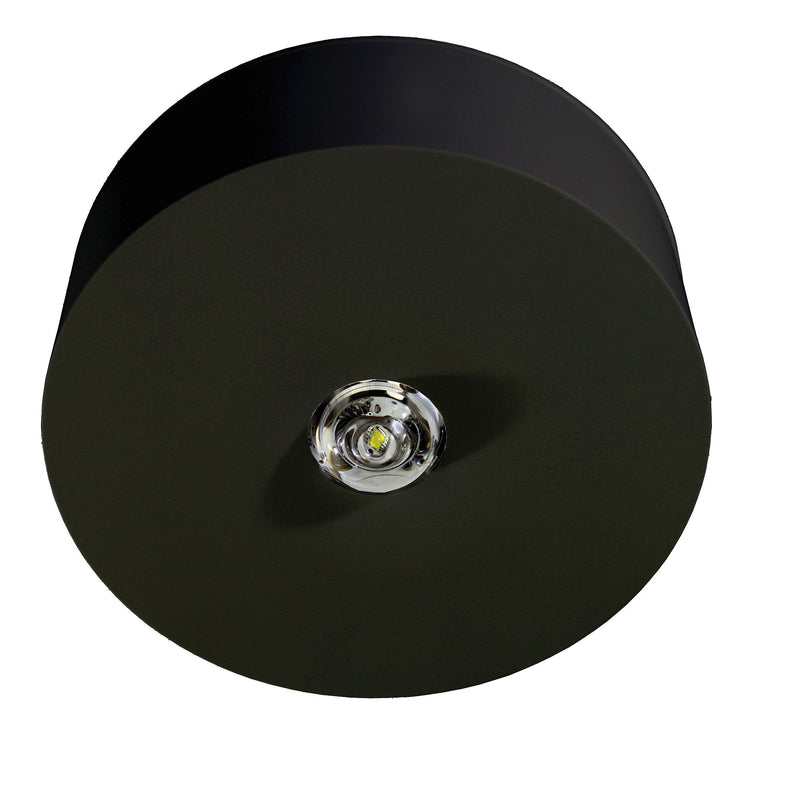 RP-Technik - Sicherheitsleuchte ILDL529CC-SW