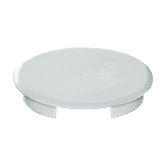 Busch-Jaeger - Abdeckrahmen Blinddeckel 8229/3