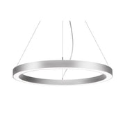 Brumberg Leuchten - Pendelleuchte LED-Pendel-Ringleuchte 13831163 DALI DT6 D75cm H5cm