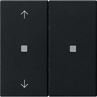 Gira - Bussystem-Tastwippe KNX RF Bedienaufsatz 2-f. 5108005 Schwarz