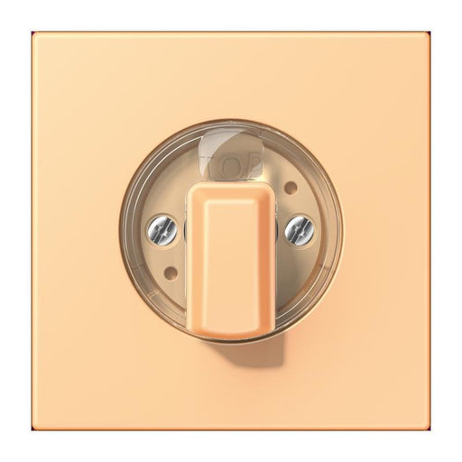 Jung - Abdeckung/Bedienelement für Installationsschalterprogramme Abdeckung für Drehschalter LC 1941 258