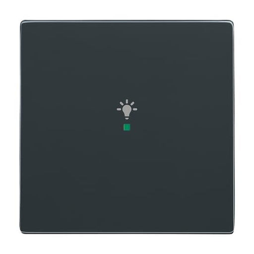 Busch-Jaeger - Bussystem-Tastwippe Wippe 1-fach, Symbol Licht 6231-10-81 anthrazit
