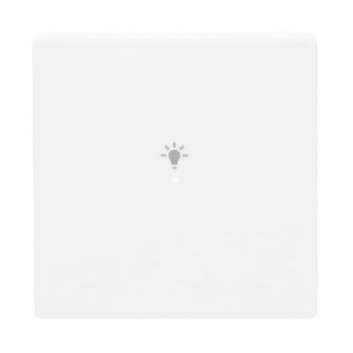 Busch-Jaeger - Bussystem-Tastwippe Wippe 1-fach, Symbol Licht 6231-10-84 studioweiß