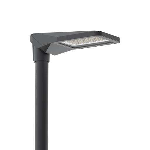 Leipziger Leuchten - Straßen- und Platzleuchte LED-Mastan-/aufsatzleuchte ALFONS I DW7248028 4000K DB703