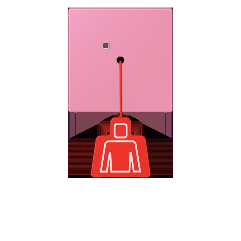 Jung - Behindertenelement für Installationsschalterprogramme Notrufsystem Zugtaster NRS LC 0834 ZT 246 rose vif