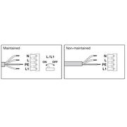 Ledvance - Decken-/Wandleuchte LED-Wand-u.Deckenleuchte BLKHRDELSN300P_MS_BK 840, Sensor, sw