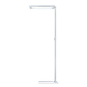 Waldmann Light - Stehleuchte LED-Stehleuchte 00804523 840