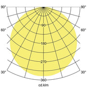 Brumberg Leuchten - Decken-/Wandleuchte LED-Anbauleuchte 13700184 4000K