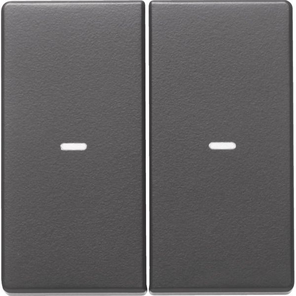 Berker - Abdeckung/Bedienelement für Installationsschalterprogramme Tast-Abdeckung 2f. anth 80960326