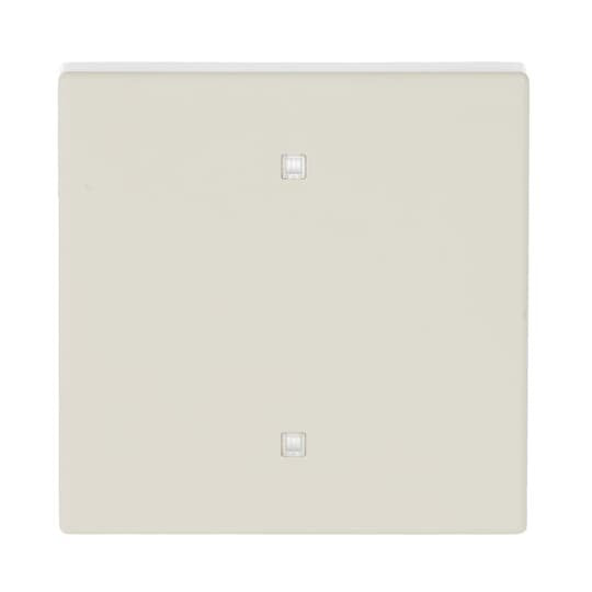 Busch-Jaeger - Abdeckung/Bedienelement für Installationsschalterprogramme Wippe 2570-10-82 Elektroniktaster